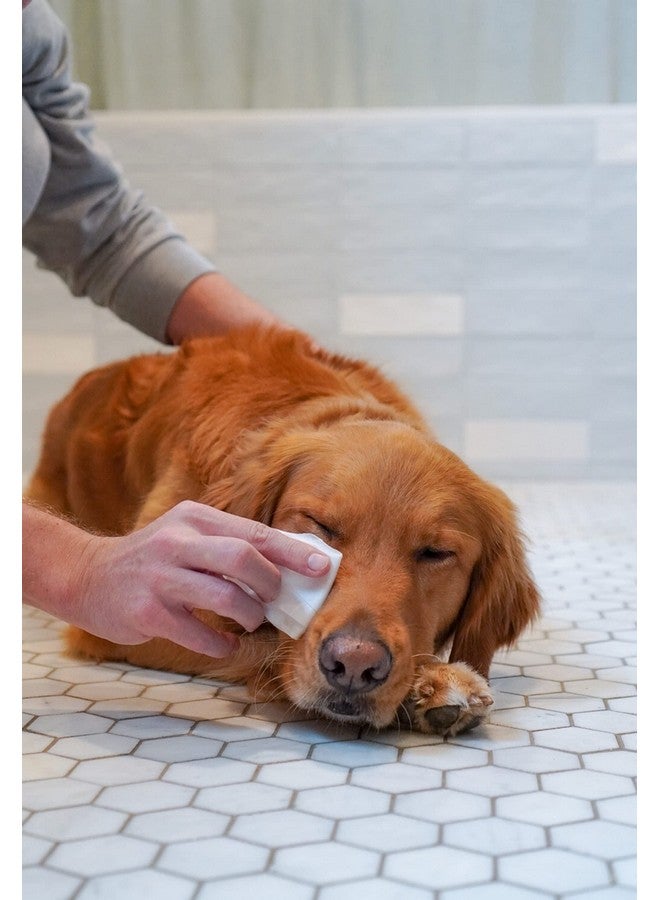 Four Paws Healthy Promise Grooming Pet Eye Cleaning Wipes for Dogs & Cats, 35 Count - Image 2