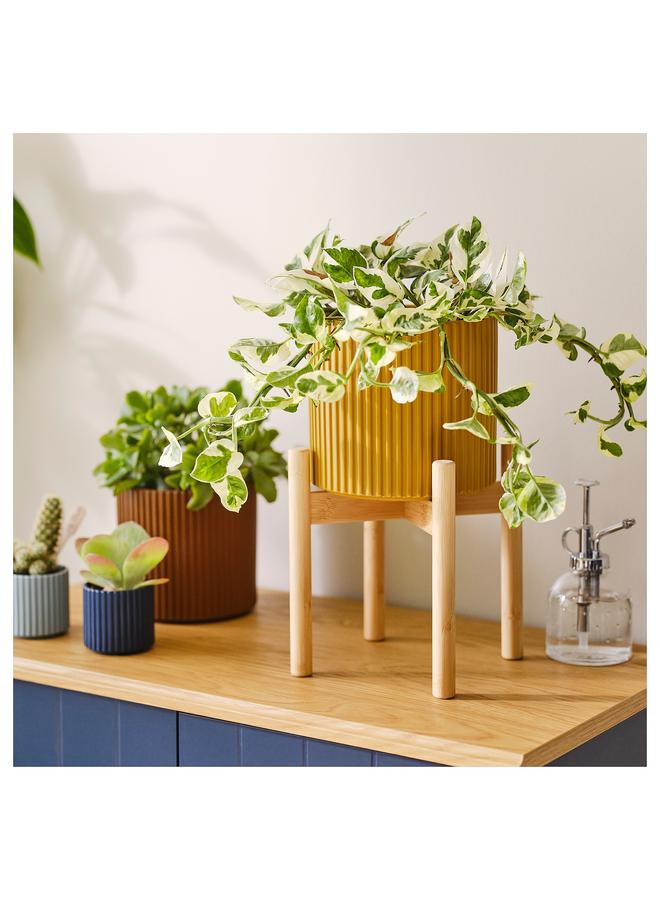 erorex Plant Stand, Bamboo, 21 Cm - Image 3