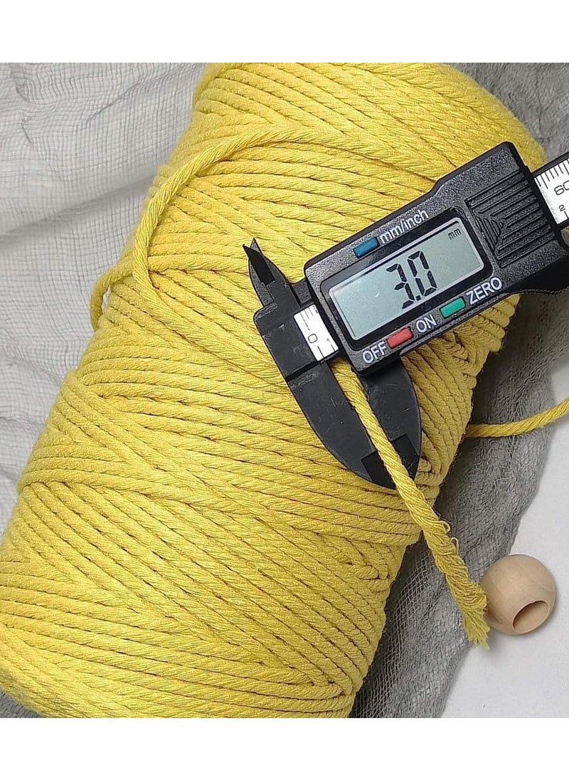 Torex TOREX� | Macrame Cords | N.pal Thread | 3mm| Single Strand |Each Cone 150Meters & 350 Gram per Spool | Pack of Multicolor 3pcs (Sky Blue, Lemon Yellow, Aqua Blue)  - Image 2
