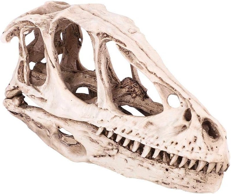 Fdit All-item matching trendy build Resin Dinosaur Skull Model Simulated Animal Skeleton Home Office Decor Craft Teaching Prop Cross product compatible - Image 1