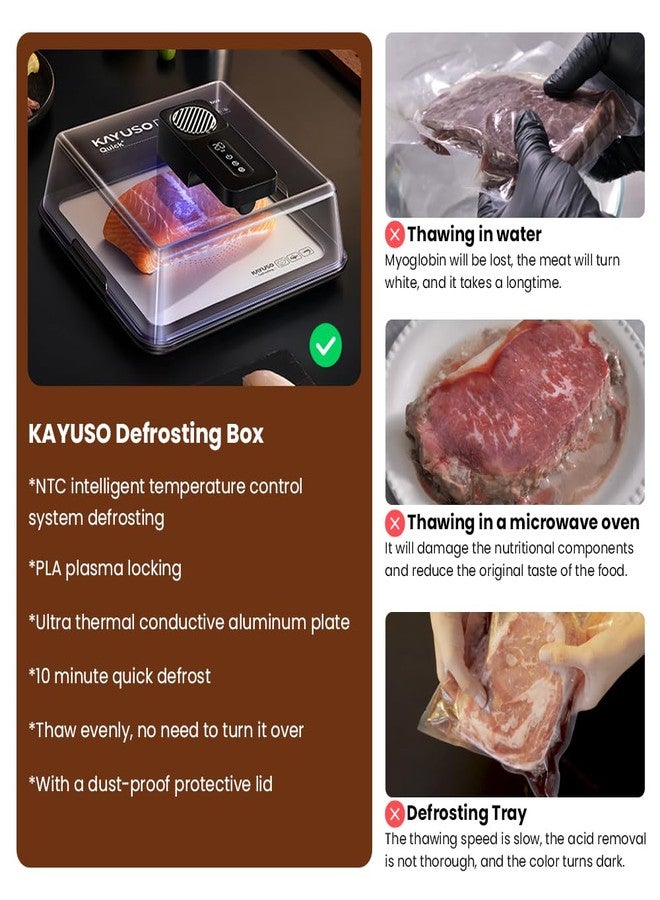 KAYUSO Quick Defrosting Tray for Frozen Meat - Rechargeable Meat Defrosting Tray with Lid, Timable Thawing Box for Frozen Food, Suitable for Frozen Steak, Chicken, Fish, Shrimp and Seafood (Black) - Image 2