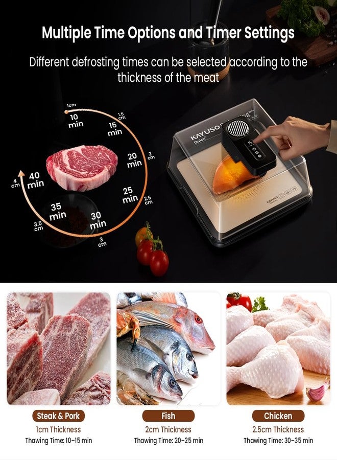 KAYUSO Quick Defrosting Tray for Frozen Meat - Rechargeable Meat Defrosting Tray with Lid, Timable Thawing Box for Frozen Food, Suitable for Frozen Steak, Chicken, Fish, Shrimp and Seafood (Black) - Image 3