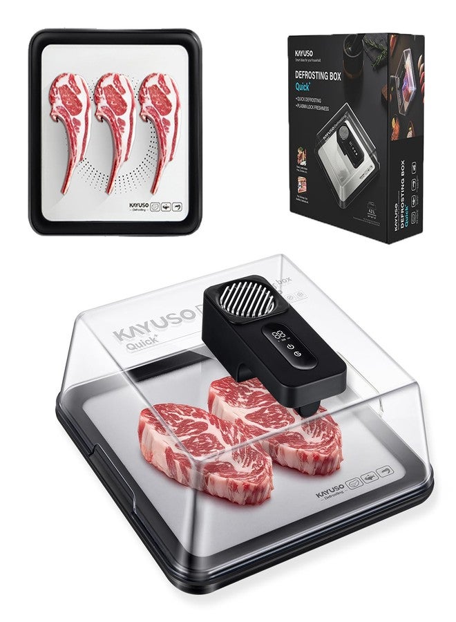 KAYUSO Quick Defrosting Tray for Frozen Meat - Rechargeable Meat Defrosting Tray with Lid, Timable Thawing Box for Frozen Food, Suitable for Frozen Steak, Chicken, Fish, Shrimp and Seafood (Black) - Image 1