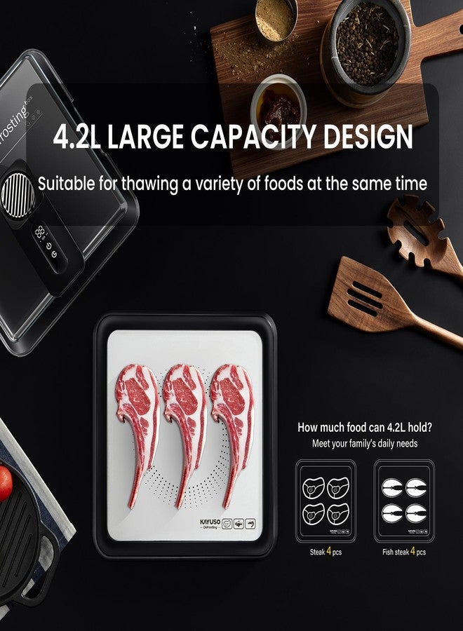 KAYUSO Quick Defrosting Tray for Frozen Meat - Rechargeable Meat Defrosting Tray with Lid, Timable Thawing Box for Frozen Food, Suitable for Frozen Steak, Chicken, Fish, Shrimp and Seafood (Black) - Image 4