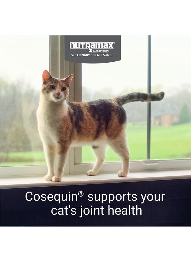 Nutramax Laboratories Nutramax Cosequin for Cats Joint Health Supplement, Contains Glucosamine for Cats, Plus Chondroitin and Boswellia, Supports Healthy Joints, For All Breeds and Sizes, Sprinkle Capsules, 60 Count  - Image 2