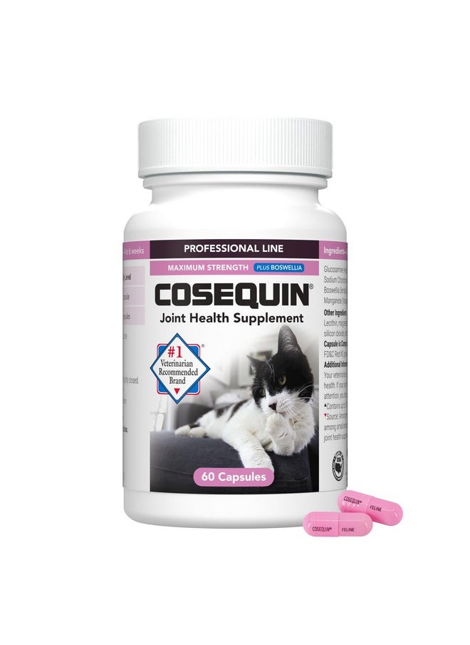 Nutramax Laboratories Nutramax Cosequin for Cats Joint Health Supplement, Contains Glucosamine for Cats, Plus Chondroitin and Boswellia, Supports Healthy Joints, For All Breeds and Sizes, Sprinkle Capsules, 60 Count  - Image 1