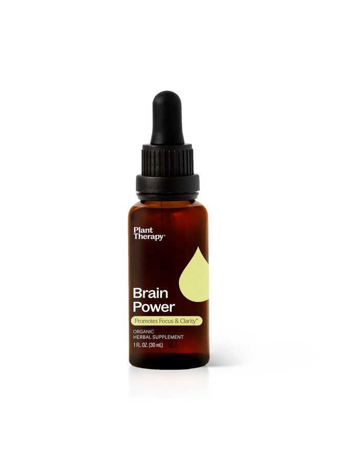 Plant Therapy Organic Brain Power Tincture 30 mL (1 oz) Supports Brain Focus & Clarity, Helps Mental Alertness & Memory, Brain Boost Supplement Packed with Benefits - Image 1