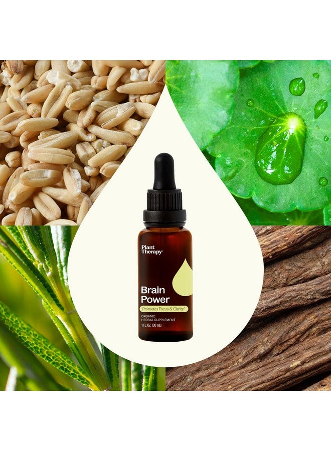 Plant Therapy Organic Brain Power Tincture 30 mL (1 oz) Supports Brain Focus & Clarity, Helps Mental Alertness & Memory, Brain Boost Supplement Packed with Benefits - Image 4