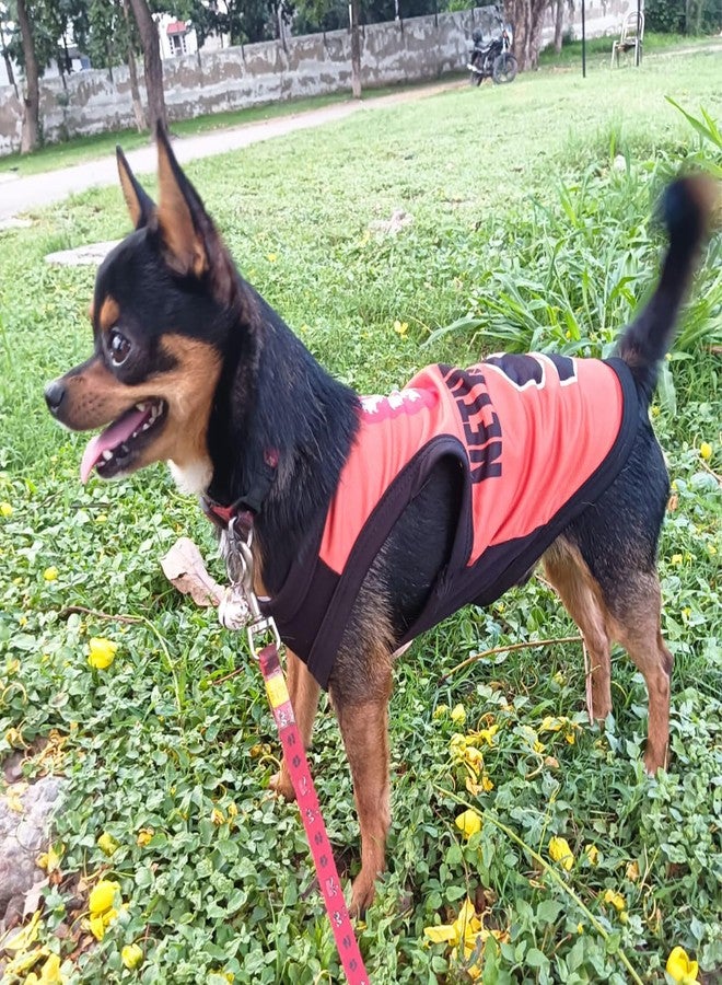 Lulala Dog Shirts Netherland 9 Printed Clothes with Summer Pet T Shirts Cool Puppy Shirts Breathable Dog Outfit Soft Dog Sweatshirt for Pet Dogs Cats (Orange, 26 INCH) - Image 1