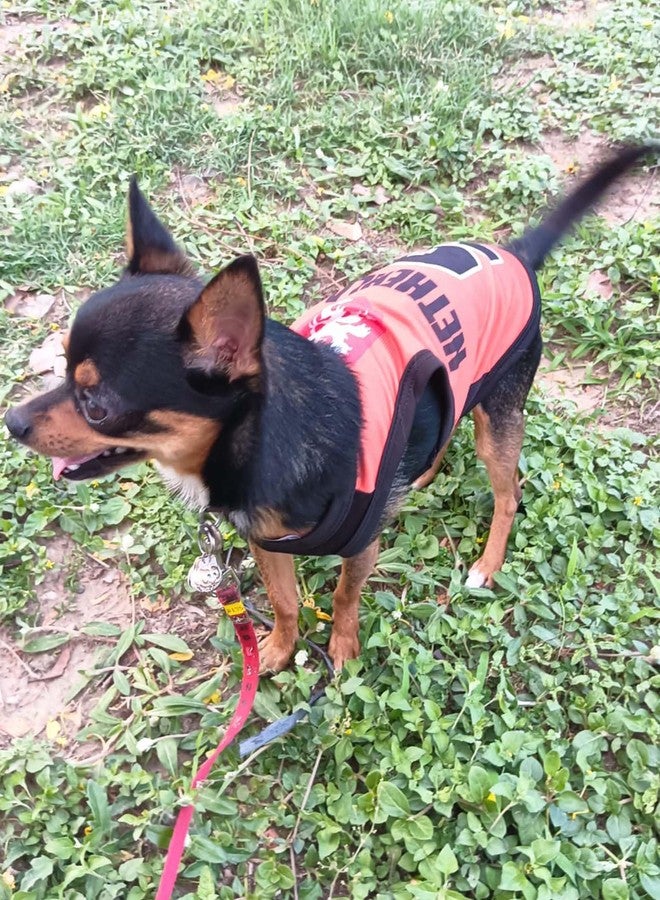 Lulala Dog Shirts Netherland 9 Printed Clothes with Summer Pet T Shirts Cool Puppy Shirts Breathable Dog Outfit Soft Dog Sweatshirt for Pet Dogs Cats (Orange, 26 INCH) - Image 2