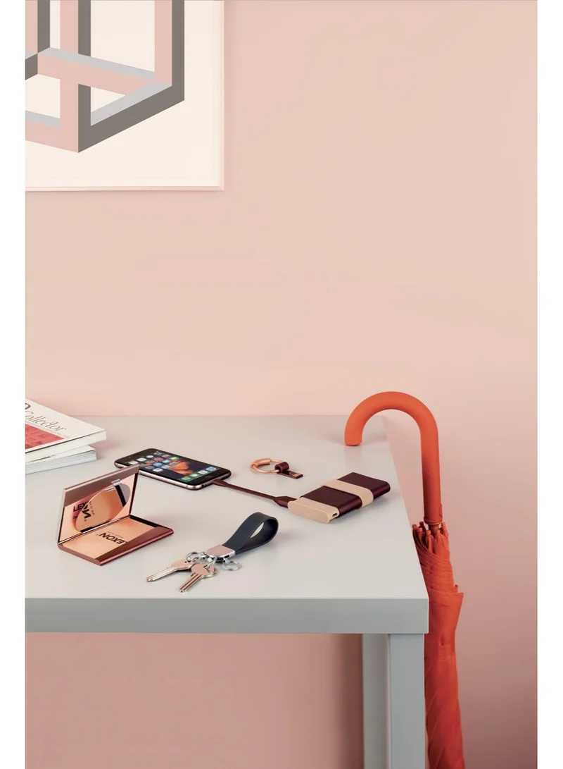 LEXON Fine Card Box Business Card Box with Mirror