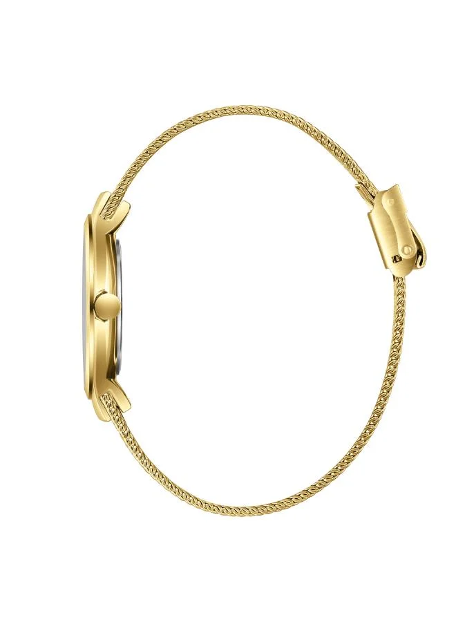 Slazenger Women's Mesh Analog Watch SL.9.2587.3.170 - 30 mm