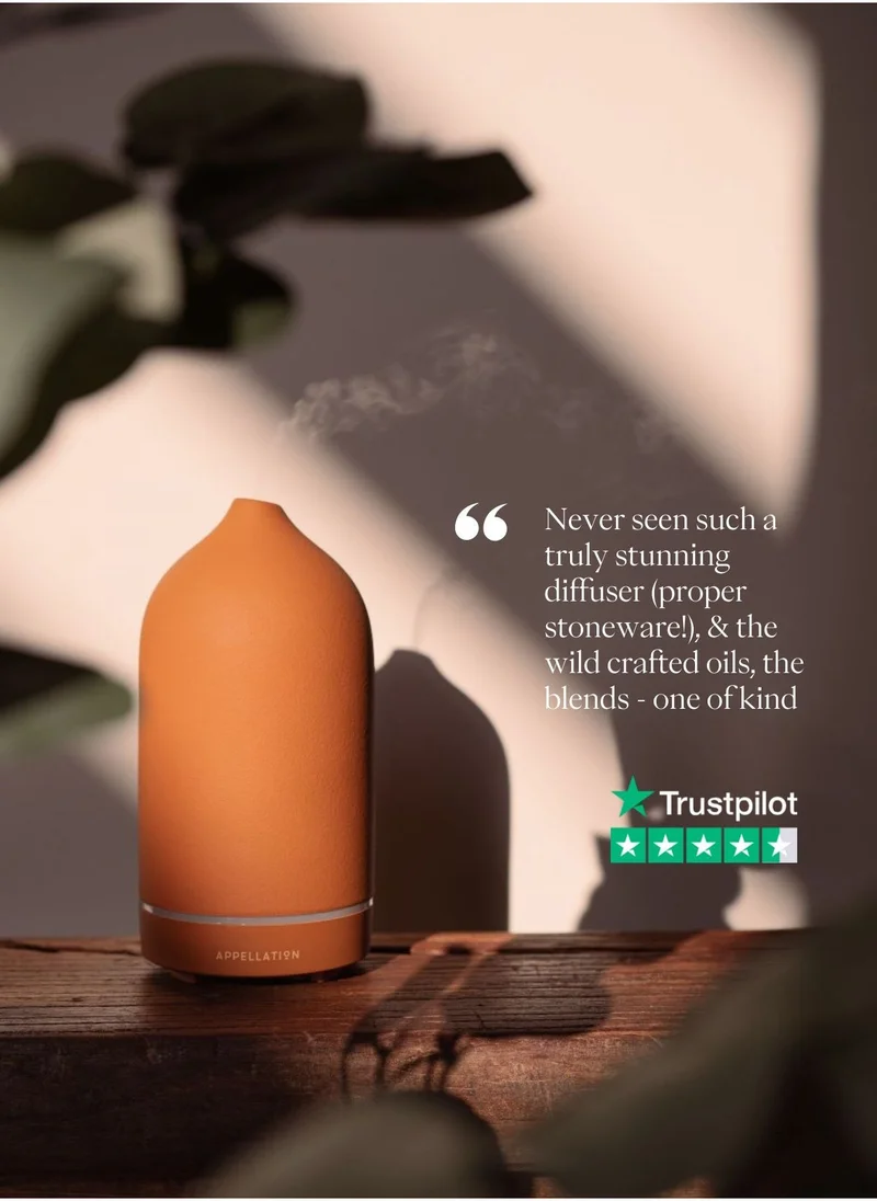 ابليشين Stone Essential Oil Diffuser, Biscuit