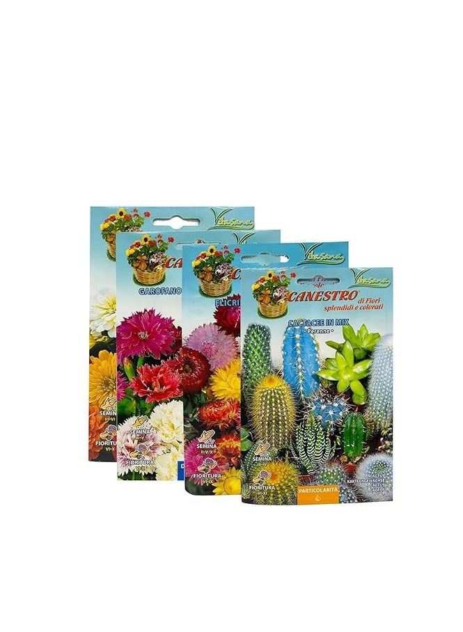 Generic CANESTRO/Zinnia + Cactus + Carofano + Semina Grandiflora Mixed multi pack Seeds | Yellow, White, Red, Pink, Orange | Heat & Drought Tolerant | Ground Cover Plant | 250 seeds per packet | 4 pack 