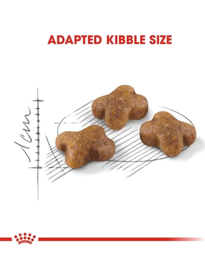 رويال كانين طعام جاف للقطط 2 كجم - Image 2