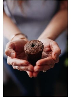 CLICK AND GROW Seeds Experimental  - Image 3