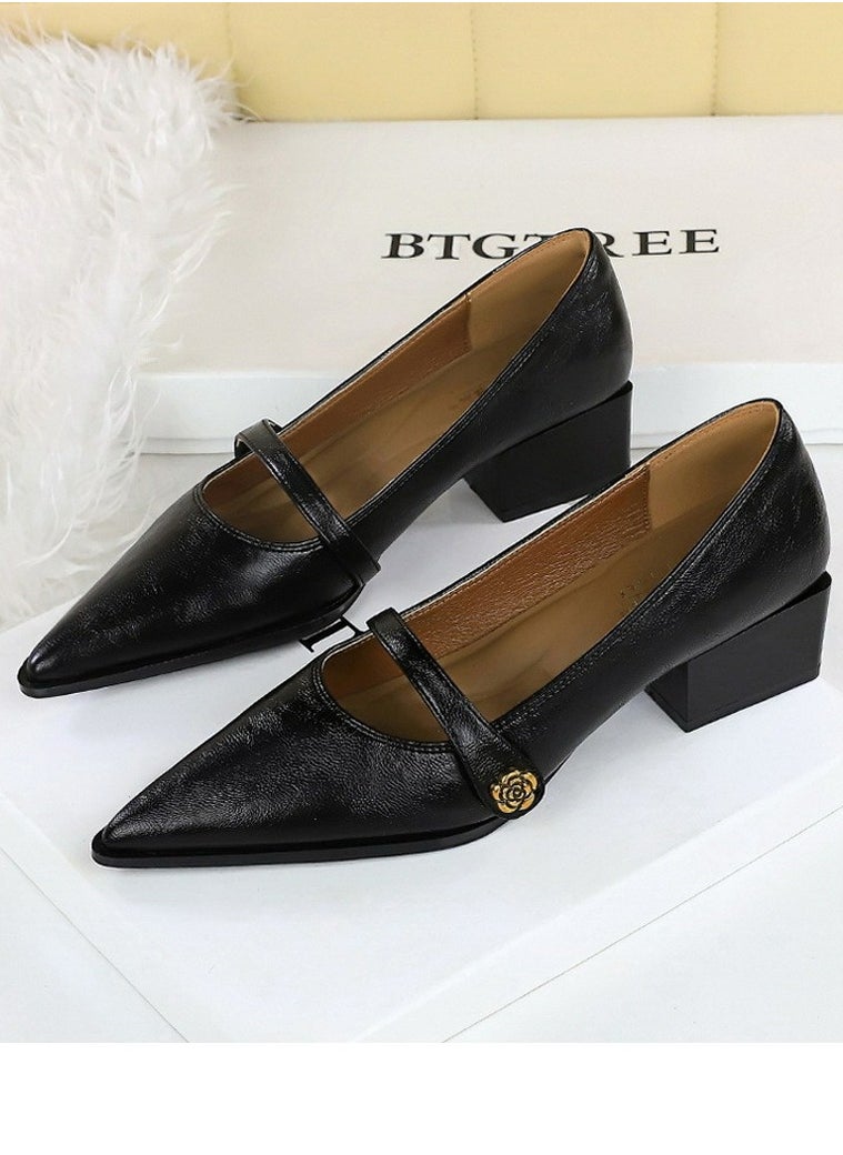 BIGTREE Mary Jane Shoes Low Chunky Heels Closed Pointed Toe Shoes With Ankle Strap Dark Black  - Image 1