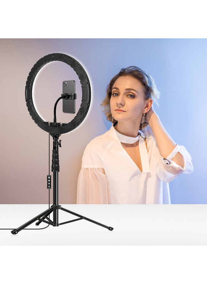 10-inch Rgb Live Fill Light 12-inch Photography Beauty Mobile Phone Photo Live Bracket Led Ring Light-Colour:12inch (rgb Single Camera) + 1.3m Upgraded Version Of The Bracket + Bluetooth Remote Control