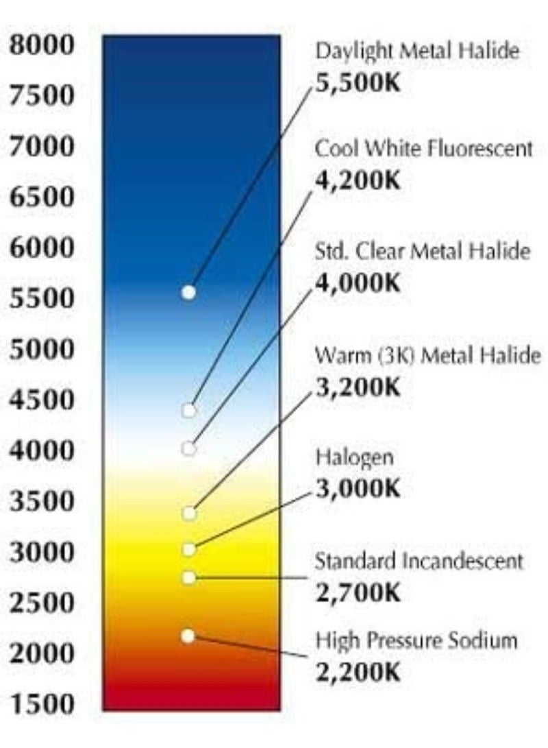 QUESERA Low Voltage 12V E14 Led Candle Filament Bulb C35 4W Warm Light - Image 3