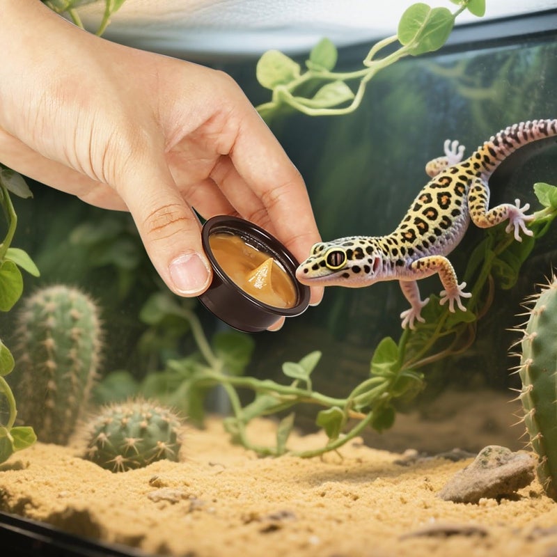 AUTSEEYS Plastic Gecko Feeding Cups, 0.5 oz Small Terrarium Bowls Reptiles Food Water Feeder Ledge Cups for Lizars,Bearded Dragon,Snake,Frogs, 100Pack Black - Image 2