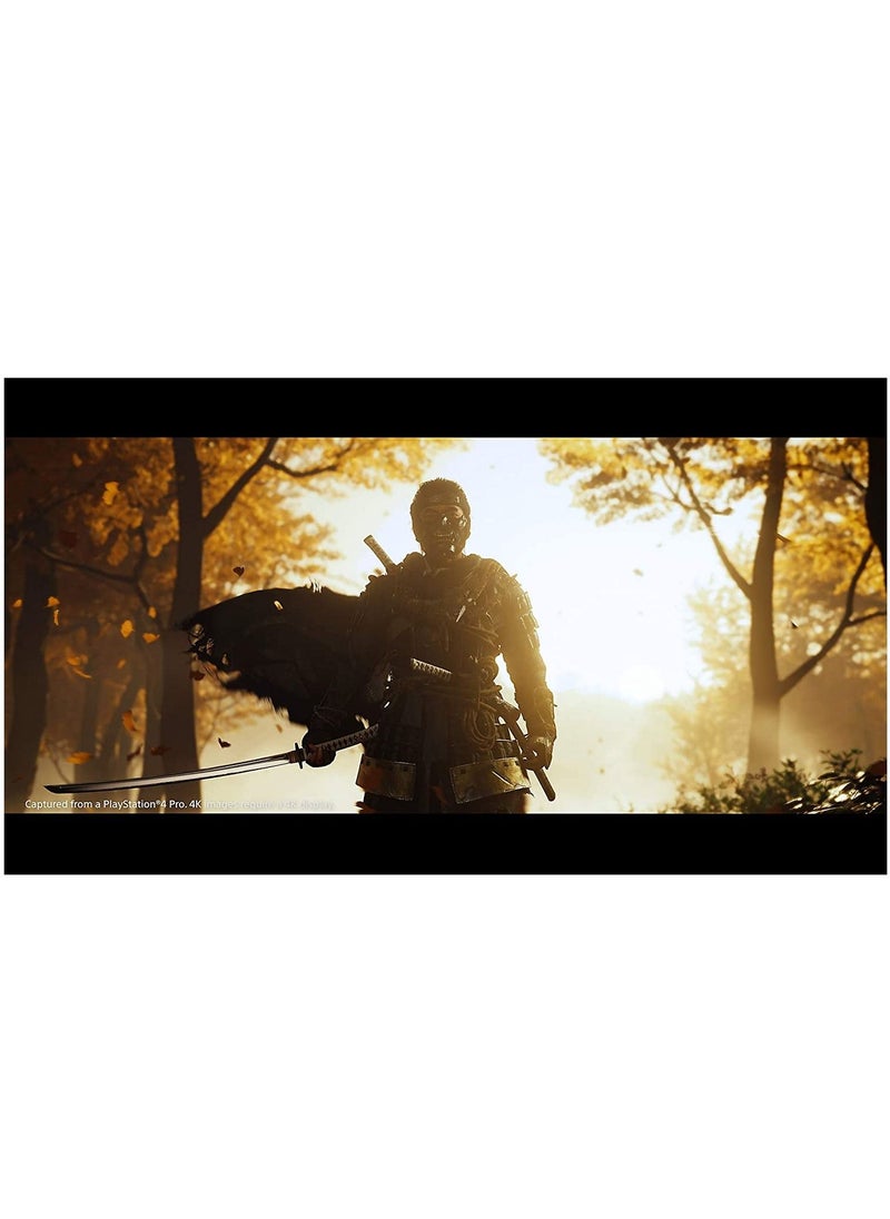 Ghost of Tsushima Standard Edition (PS4)