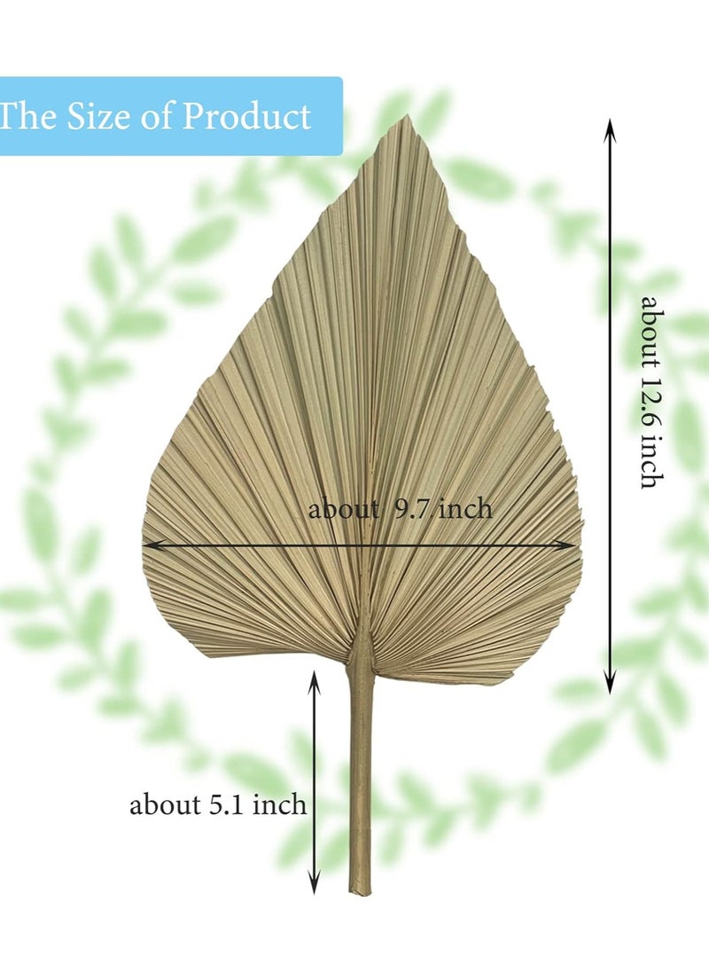 Generic Natural Dried Palm Leaves, 4PCS Large 18" Palm Fans, Perfect for Boho Wedding, Home Decor, Party Arrangements, Kitchen Vase, Farmhouse Table Centerpieces, Anniversary Decorations  - Image 5