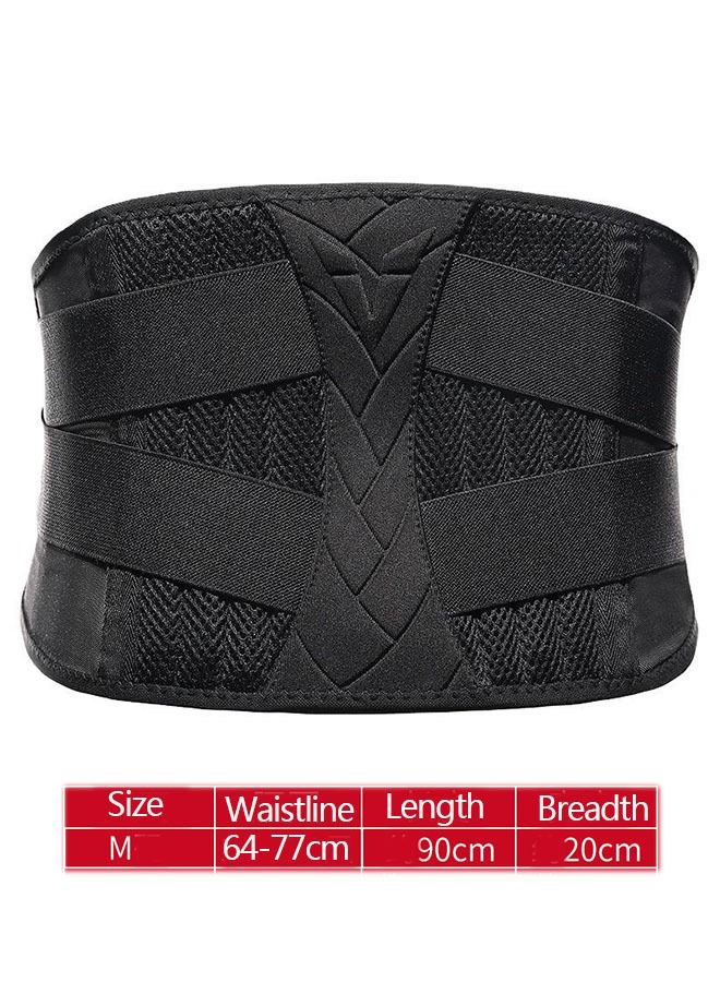 Ant Lumbar Lower Back Brace,Abdominal training belt for Women& Men, Breathable Stabilizing Waist Lumbar Lower Back Brace Support Belt for Sciatica Herniated Disc Scoliosis Back Pain Relief  - Image 3