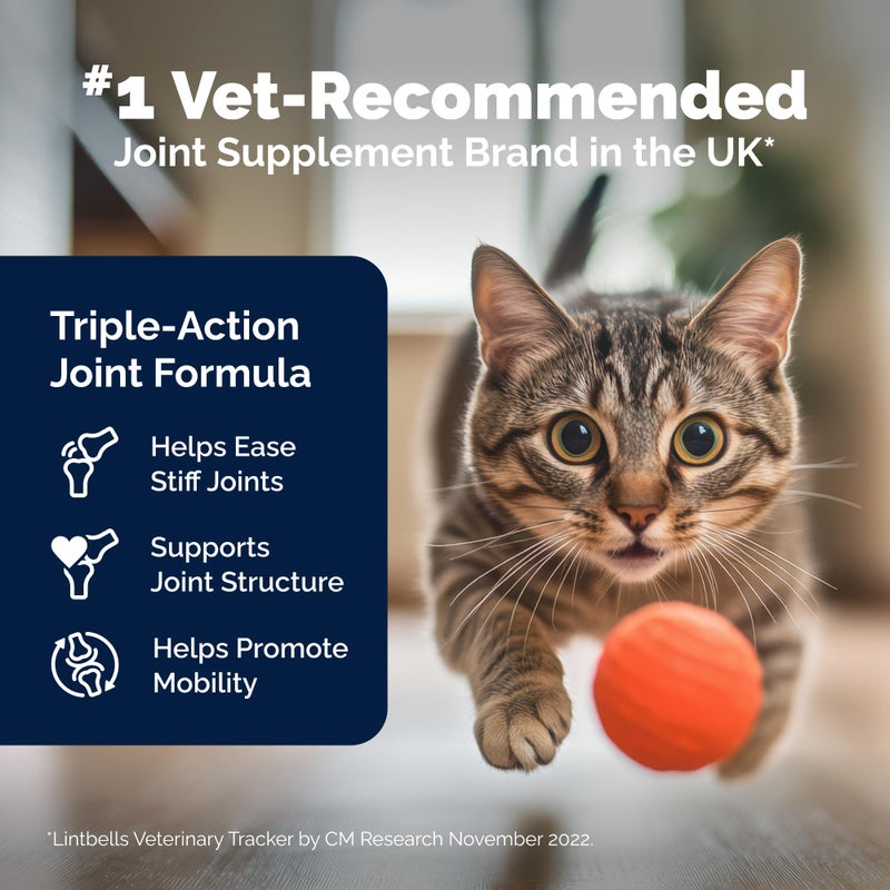 YuMOVE Cat Joint Supplement with Glucosamine,Chondroitin, Omega 3, Hyaluronic Acid, & Green Lipped Mussel - Joint Support Supplement - for Senior Cats 60 Capsules - Image 3