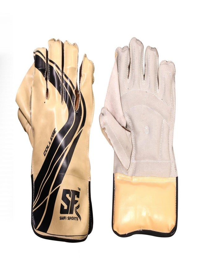 قفازات حارس مرمى الكريكيت للرجال من SAIFI SPORTS، كرة تنس متعددة الألوان - Image 2
