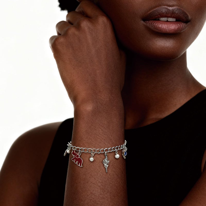 Medsor Red Elephant Bracelet Sorority Gift 1913 Triangle African Violet Torch Charm Bracelets for Women - Image 3