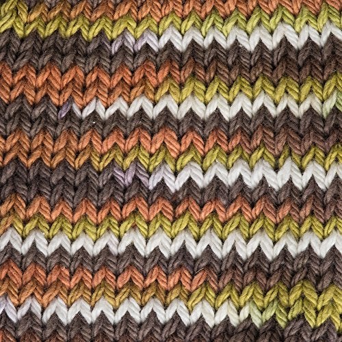 Lily Sugar'n Cream Cotton Cone Yarn, 14 oz, Woodland Trail Ombre, 1 Cone - Image 4