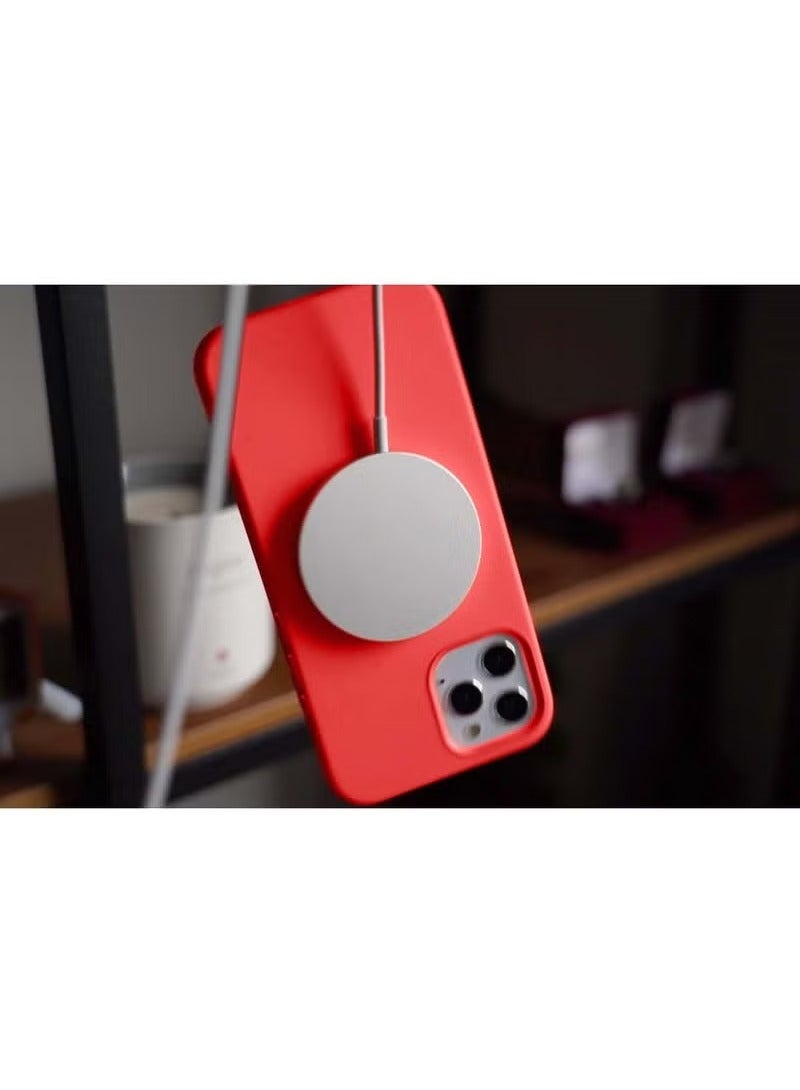 TIGER Premium Soft Liquid Silicone Case for iPhone 16 Pro (2024) – Red | Shockproof Slim Fit Protective Back Cover with Microfiber Lining | Anti-Scratch Matte Finish | Soft Touch Anti-Fingerprint Texture | Wireless Charging & MagSafe Compatible | Sleek & Durable - Image 5