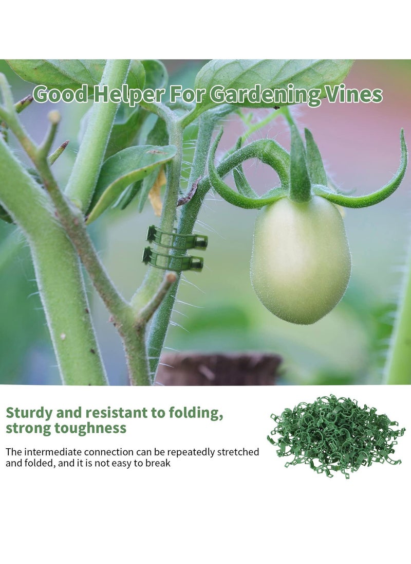 Generic 300 Pieces Green Plastic Plant Clips for Vegetable Root and Stem Support - Essential Gardening Accessories for Farmers, Gardeners, and Home Gardens. Perfect for Plant Tying and Rattan Tools.  - Image 5