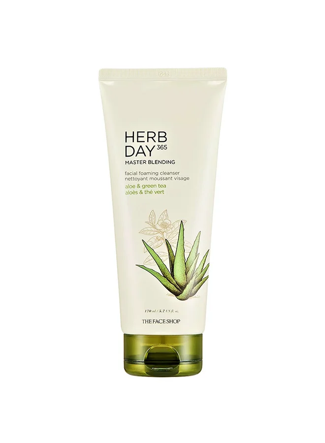 THE FACE SHOP HERB DAY 365 MASTER BLENDING FOAMING CLEANSER ALOE&GREEN TEA