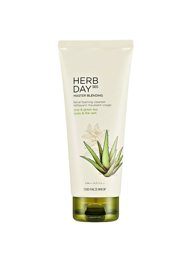 HERB DAY 365 MASTER BLENDING FOAMING CLEANSER ALOE&GREEN TEA
