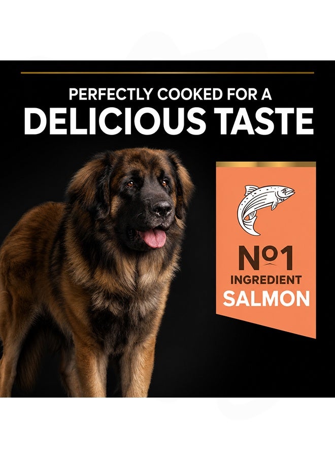 PURINA Pro Plan Sensitive Skin Large Robust Adult Salmon Dog food - 14 KG - Image 5