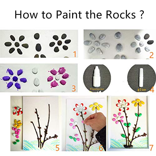Lifetop 3LB Tiny Painting Rocks DIY Rock for Paint Detail-Painting Smooth Surface Stones,Arts,Crafts Garden,About 350-400PCS 0.5 to 1.0 inches ，Hand Picked - Image 3