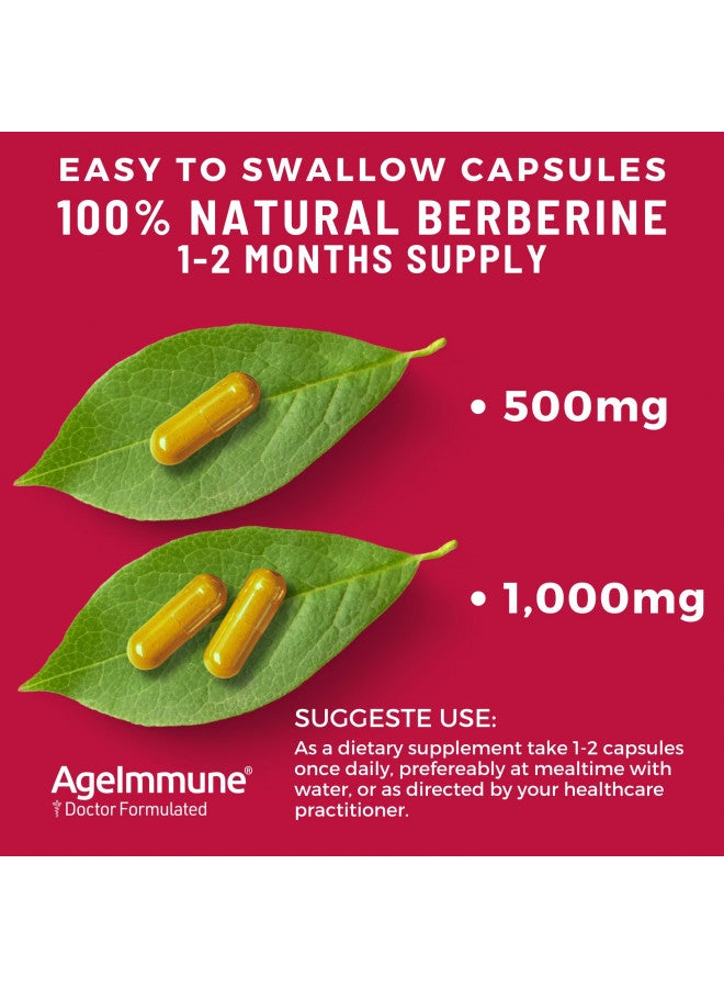 AgeImmune Ageimmune Berberine 1000Mg Supplement Complex   Each Capsule Contains Berberine 500Mg and Inuin 5Mg For High Absorption. - Image 2