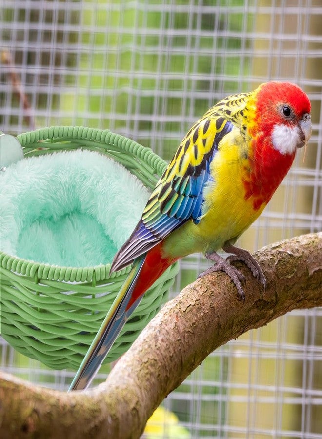 VTurboWay 1 Pack Bird Rattan Nest with 1 Pcs Nest Mat Egg Laying Bed Breeding House for Parrot Lovebird Cockatiel Budgerigar Finch Canary (Green) - Image 3