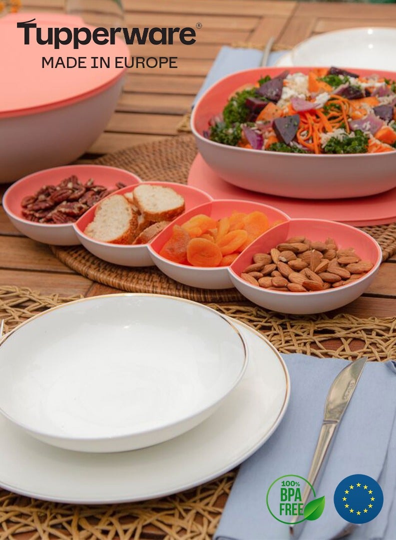 توبروير صينية تقديم تابروير 4 أقسام (قطعتان 260 مل وقطعتان 290 مل) - Image 2