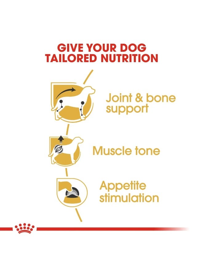 Royal Canin Breed Health Nutrition Dachshund Adult Wet Food Pouch 12x85g - Image 2