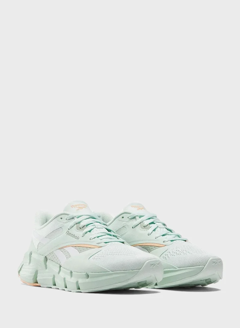 Reebok Zig Dynamica 5