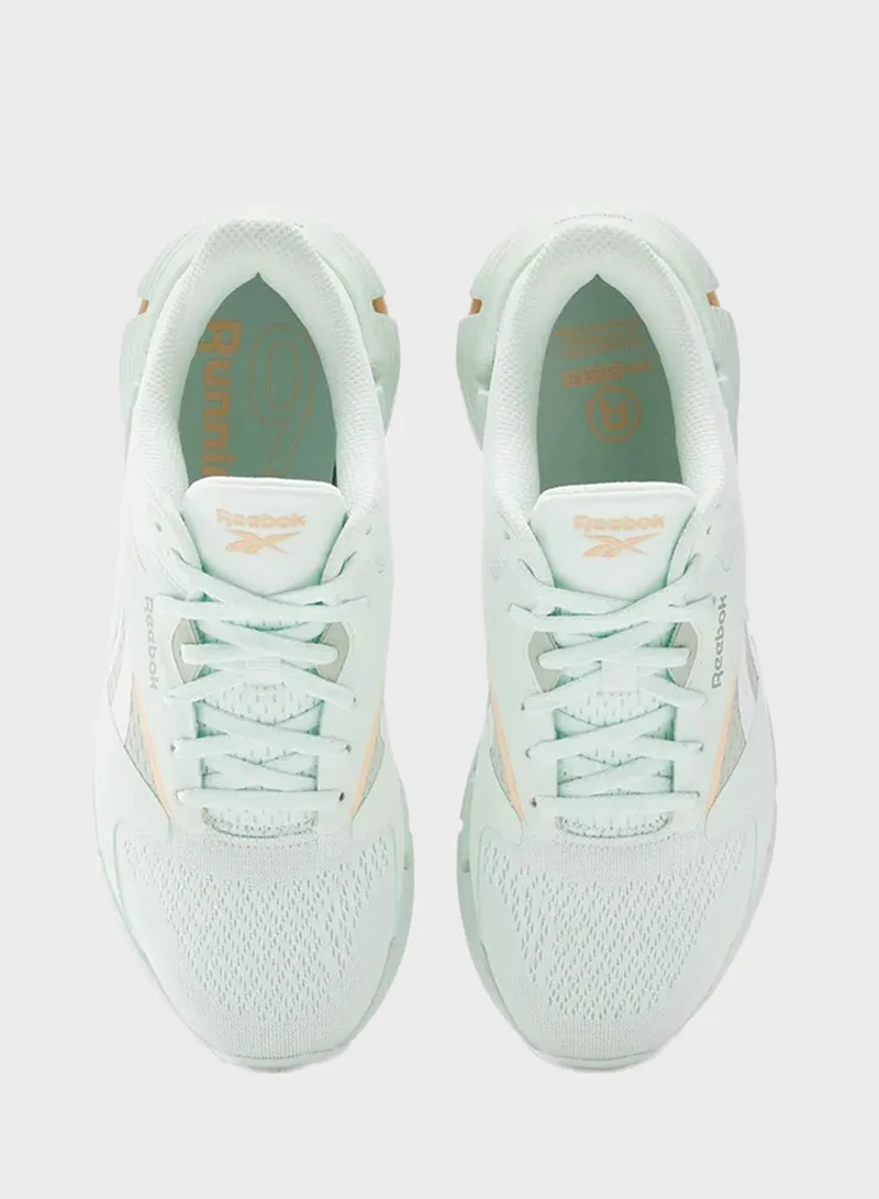 Reebok Zig Dynamica 5