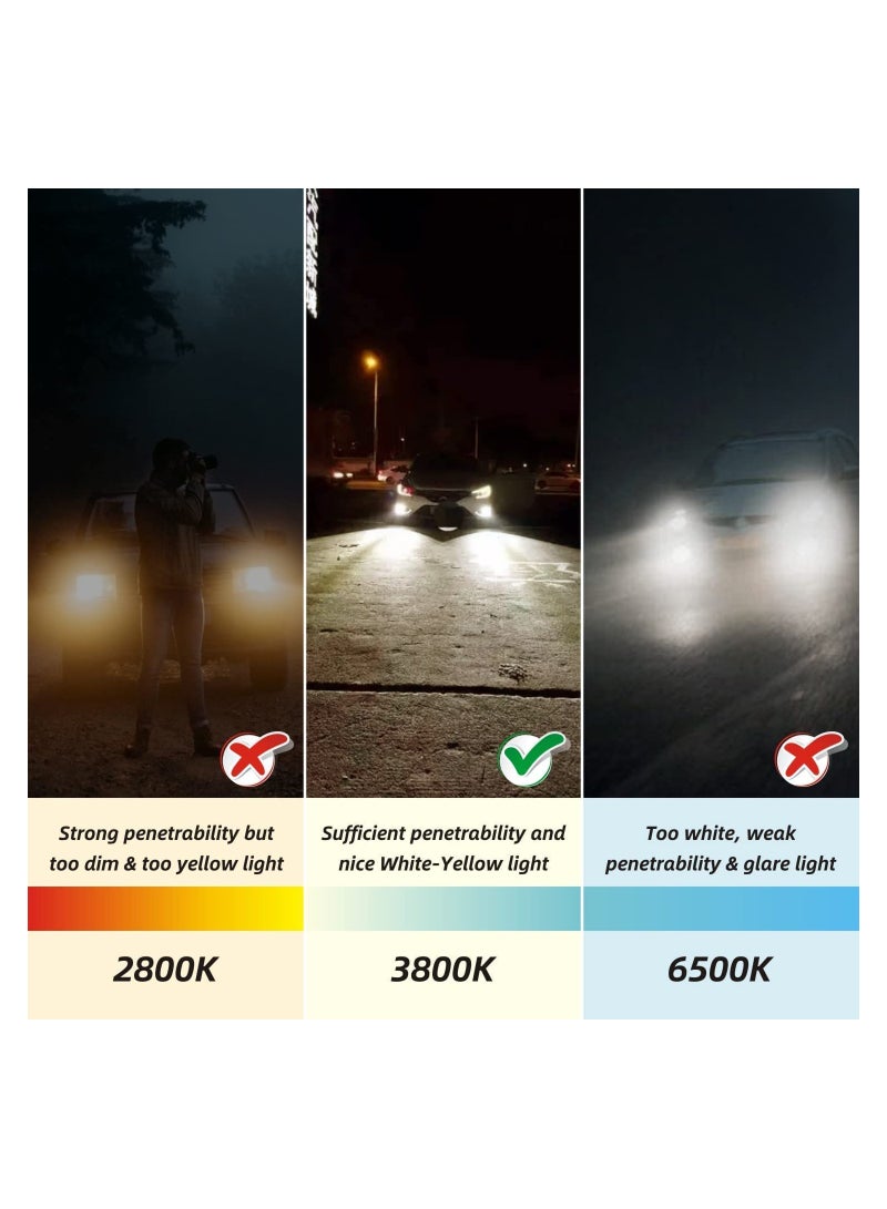 Loquat 4PCS H11 Halogen Bulb, Low Beam Headlight Fog Light Replacement High Brightness Bulb 150% Enhanced Illumination Durable Halogen Headlamp Night Driving Safety for Standard 711 55W Bulb - Image 4