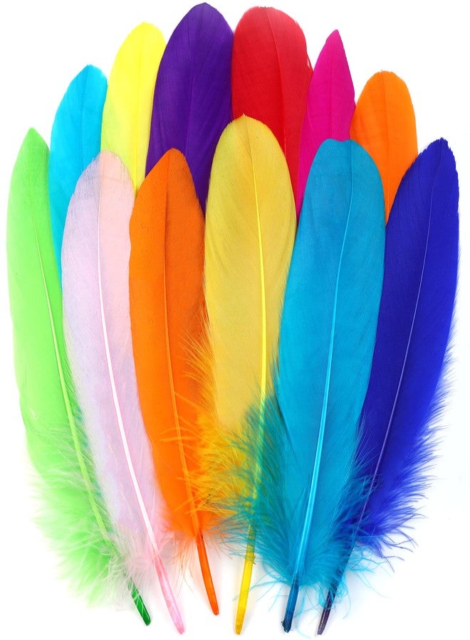 Ballinger Colorful Goose Feathers for Crafts - 120Pcs 6-8inch Craft Colored Feathers for DIY Crafts,Angel Wings,Dream Catcher and Wedding Party Decor - Image 1
