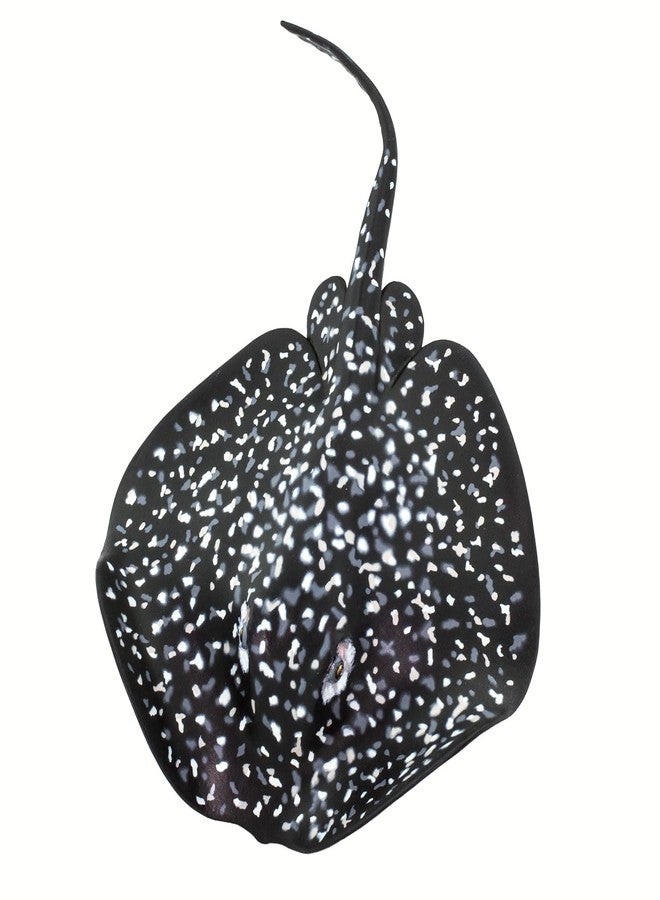 Safari Ltd. Marble Ray Figurine - Realistic 8" Sea Creature Figure - Educational Toy for Boys, Girls and Kids Ages 3+ - Image 3