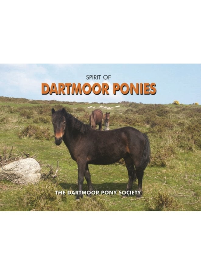 Spirit of Dartmoor Ponies - Hardback