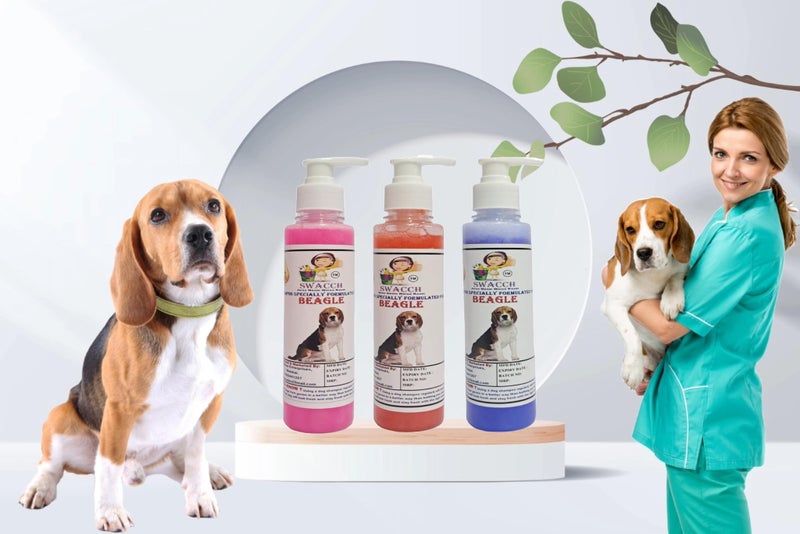 SWACCH Premium Shampoo for Beagle (200ML)(Combo Pack of 3) Rose, Jasmine & Lavender - Image 2