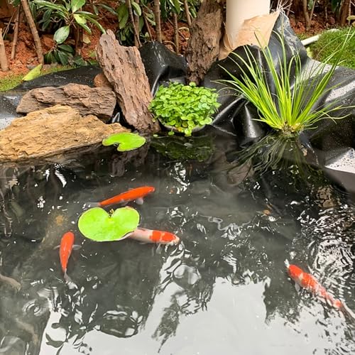 Adroiteet 7 x 10 FT Pond Liner, 20 Mil Fish Pond HDPE Liner, Pond Liners for Outdoor Ponds, Koi Ponds, Garden Fountain, Waterfall - Image 4