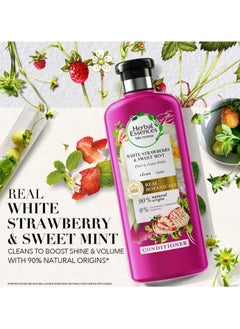 Herbal Essences Renew Natural Shampoo and Conditioner with White Strawberry and Sweet Mint for Hair Volume 400ml pack of 2  - Image 3